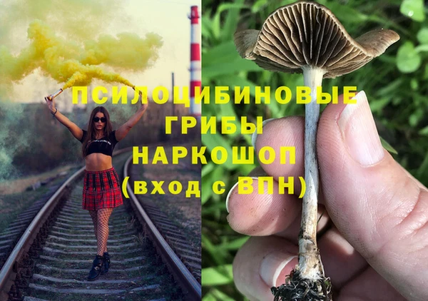 тгк Балахна